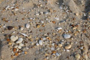 Sandy Hook Beach, NJ - Take a Trip to the Jersey Shore - Trips Around