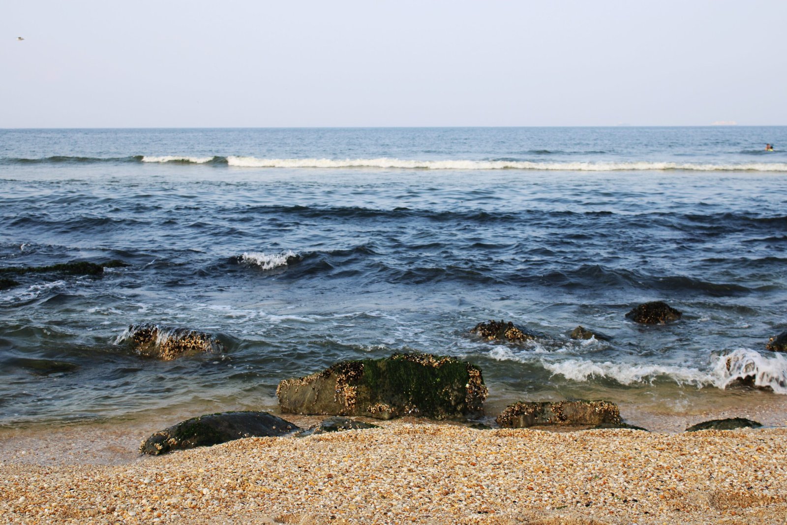 Rocks at the Jersey Shore