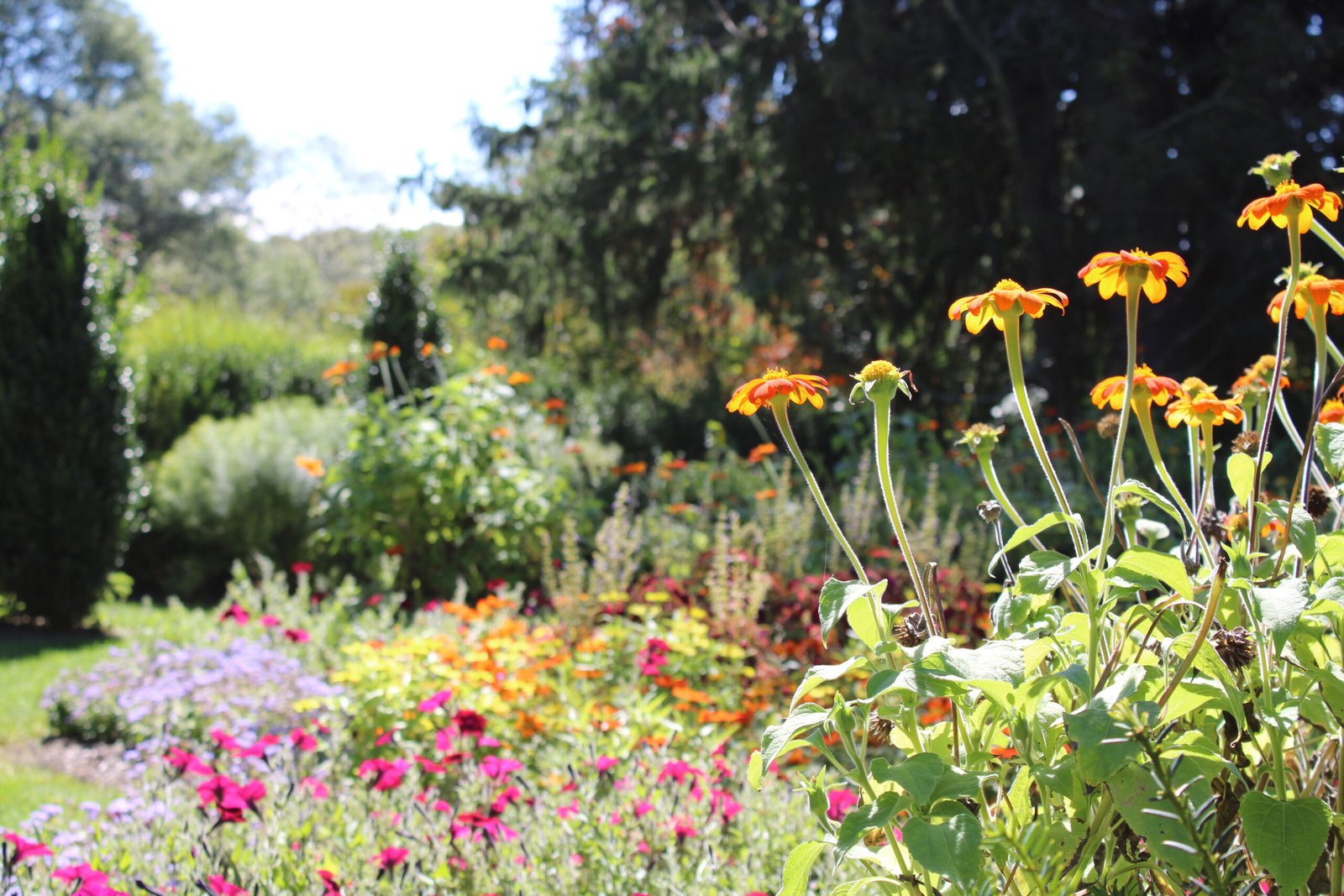 Botanical Gardens Near ME