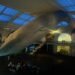 Blue What at The Museum of Natural History